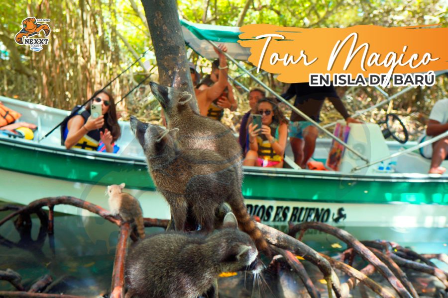 Full day Magical Tour in Isla de Barú