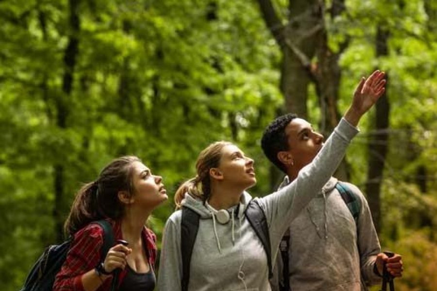 Senderismo cerca de Medellín – Nexxt Tours